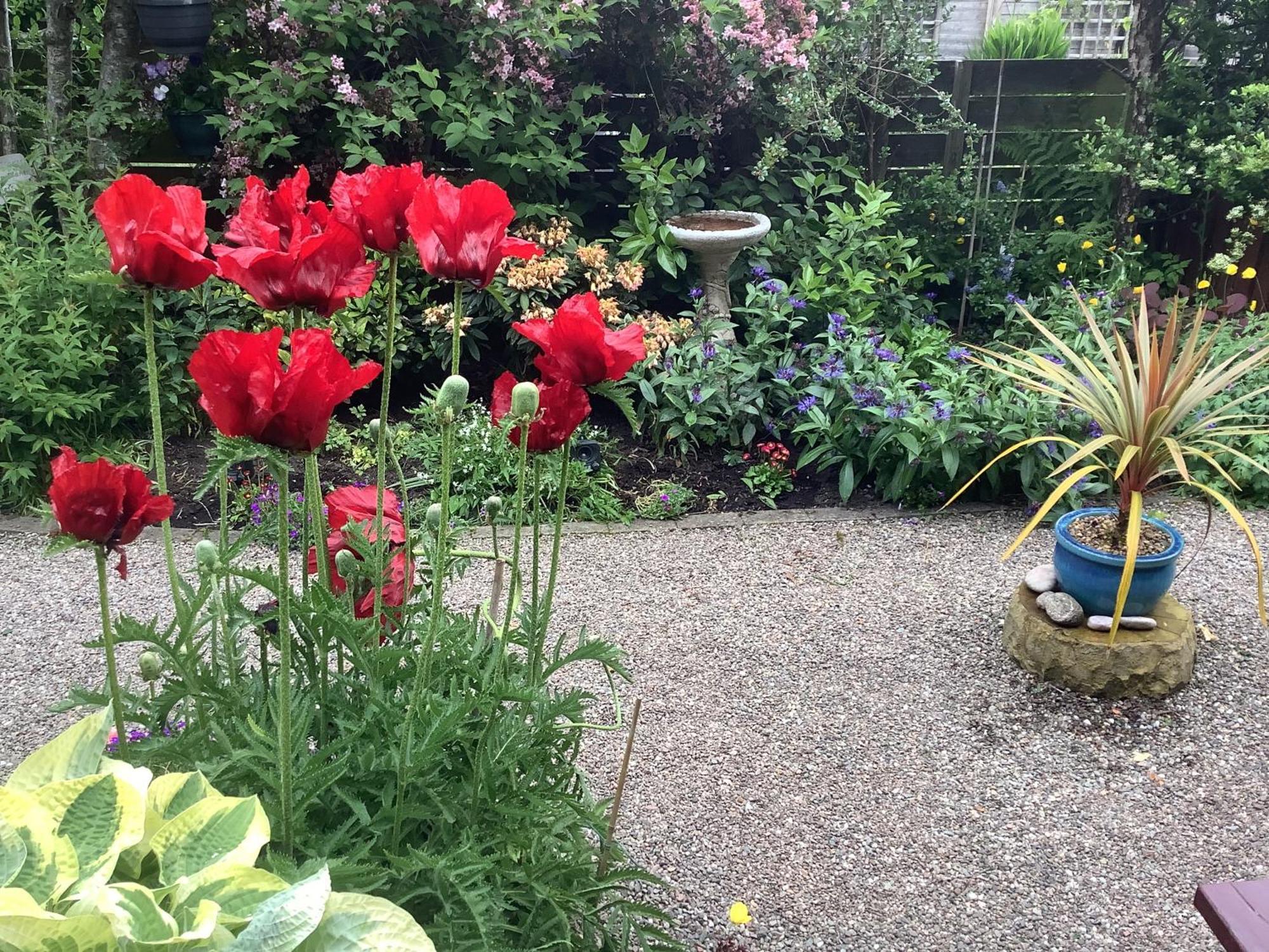Апартаменты The Garden Flat Крифф Экстерьер фото